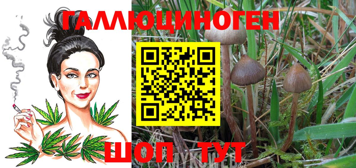 Галлюциногенные грибы прущие грибы  Вход с VPN  Елизово  Псилоцибиновые грибы Cubensis 